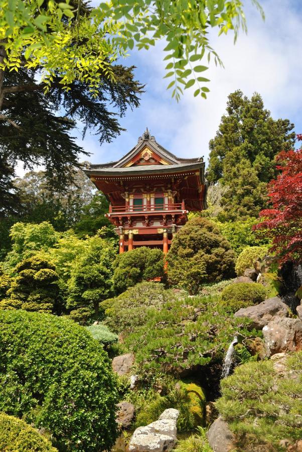 Golden Gate Park Suite San Francisco Extérieur photo